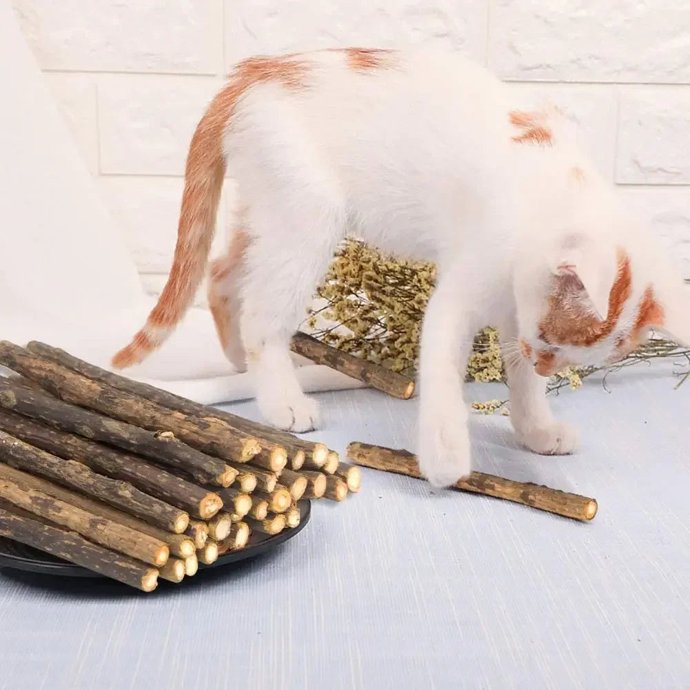 15-Pack Natural Matatabi (Silvervine) Catnip Chew Sticks — 4.7 in (12 cm) Dental Treats for Cats & Kittens