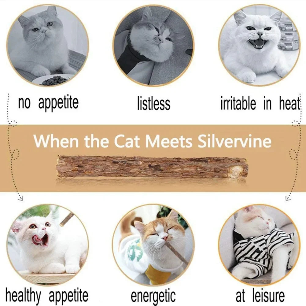 15-Pack Natural Matatabi (Silvervine) Catnip Chew Sticks — 4.7 in (12 cm) Dental Treats for Cats & Kittens