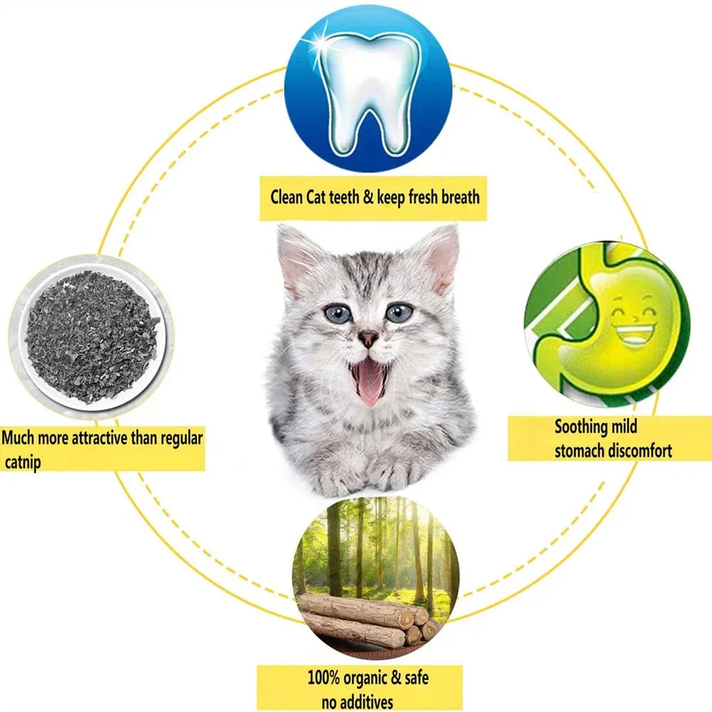 15-Pack Natural Matatabi (Silvervine) Catnip Chew Sticks — 4.7 in (12 cm) Dental Treats for Cats & Kittens